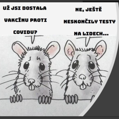 Covid: prof. Beran versus prof. Hořejší, doplněné o úvahy prof. Jana Žaloudíka