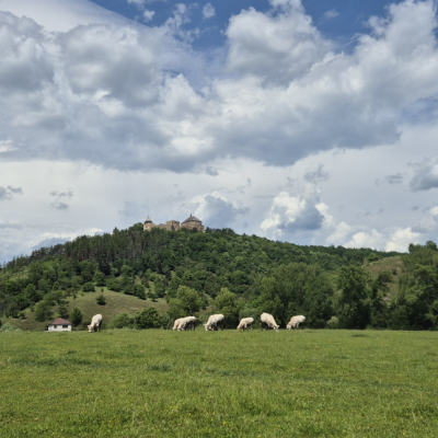 Křivoklátsko vytvořili lidé, předáme-li ho úředníkům, zanikne!