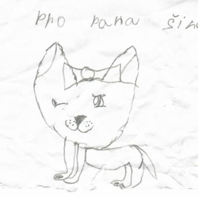 Letní tábor Praskolesy Pro pana Šinágla